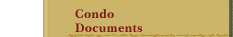 Condo Documents